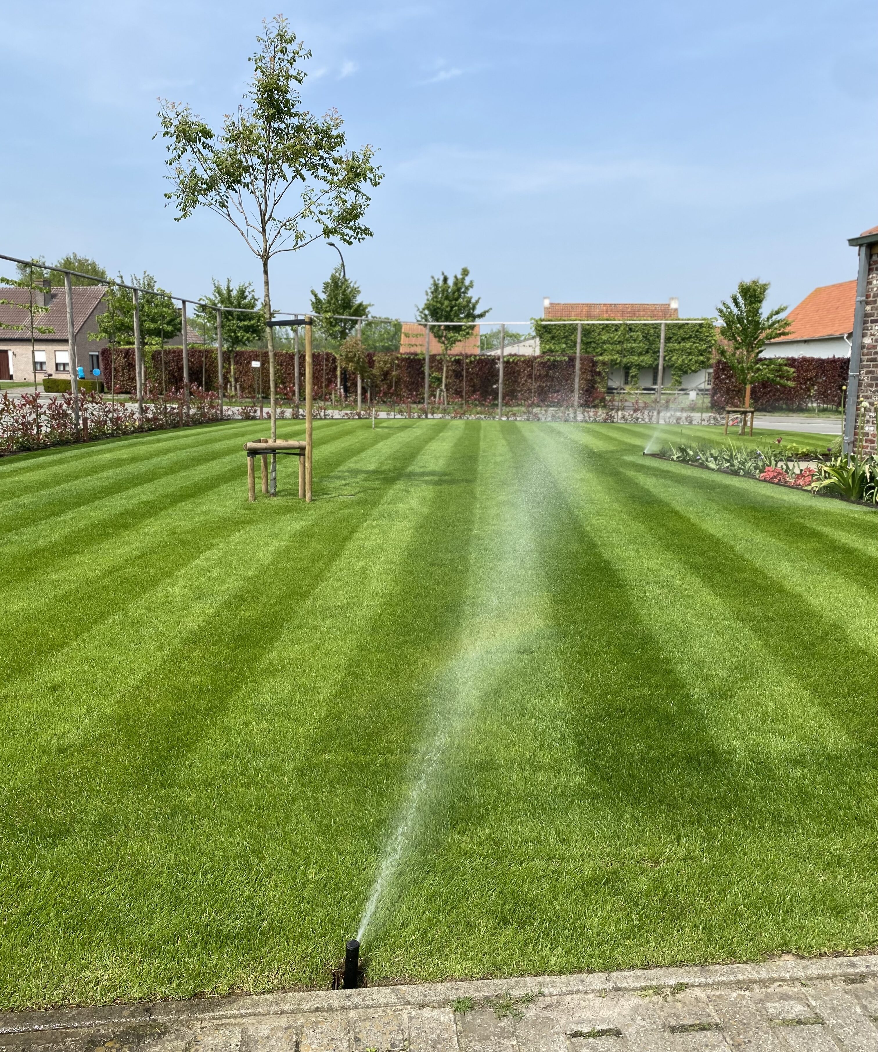 Aanleg in volle tuin